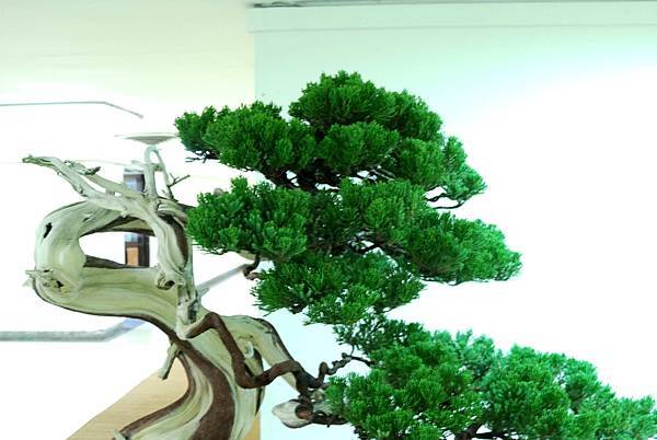 DSC_7190.jpg DSC_7190.jpg