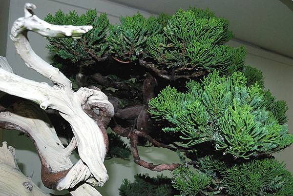 DSC_7192.jpg DSC_7192.jpg