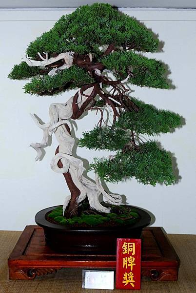 DSC_7194.jpg DSC_7194.jpg