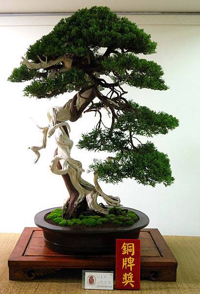 DSC_7193.jpg DSC_7193.jpg