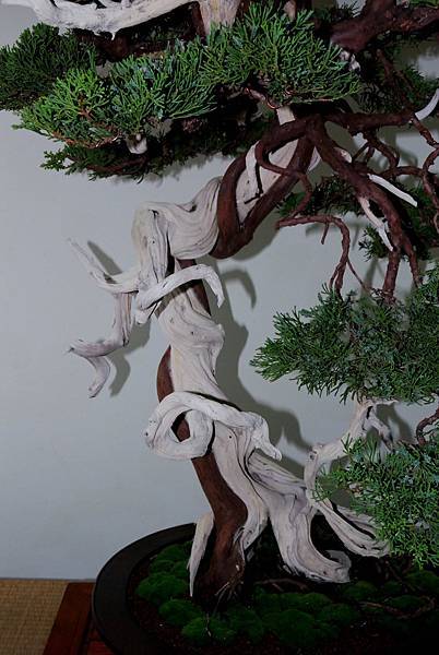 DSC_7195.jpg DSC_7195.jpg