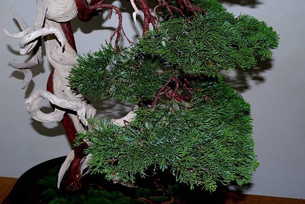 DSC_7196.jpg DSC_7196.jpg