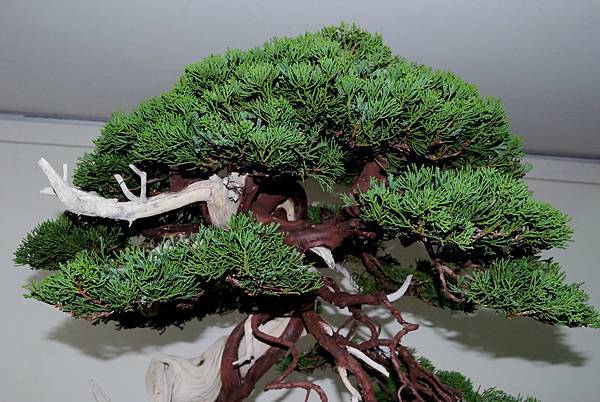 DSC_7197.jpg DSC_7197.jpg