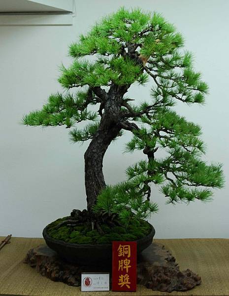 DSC_7198.jpg DSC_7198.jpg