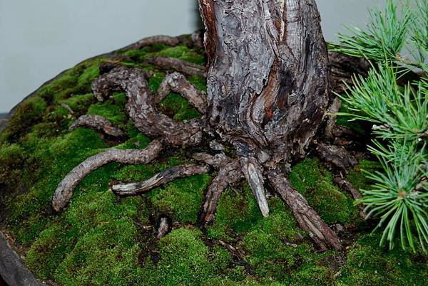 DSC_7200.jpg DSC_7200.jpg