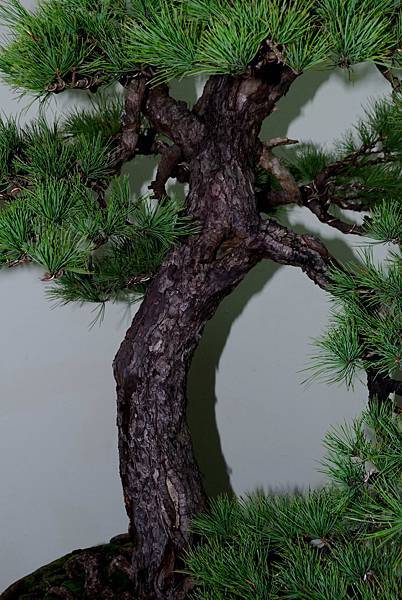 DSC_7201.jpg DSC_7201.jpg