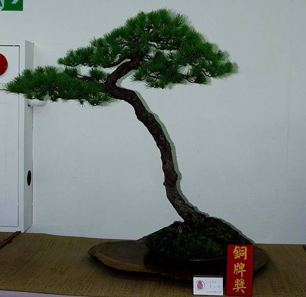 DSC_7203.jpg DSC_7203.jpg