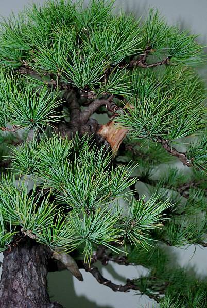 DSC_7202.jpg DSC_7202.jpg