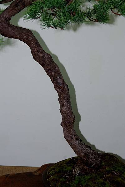 DSC_7205.jpg DSC_7205.jpg