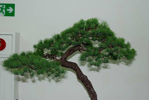 DSC_7206.jpg DSC_7206.jpg