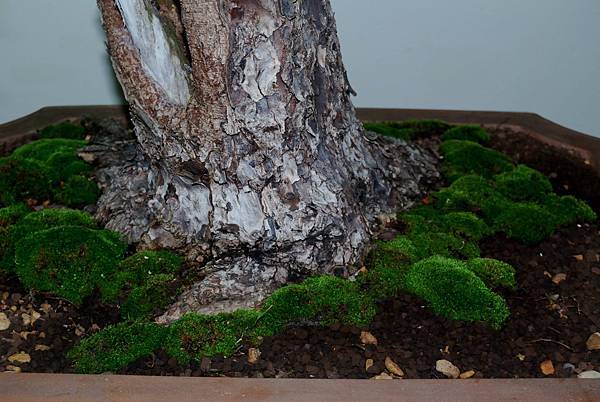 DSC_7209.jpg DSC_7209.jpg