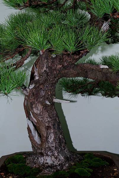 DSC_7210.jpg DSC_7210.jpg