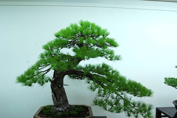 DSC_7213.jpg DSC_7213.jpg