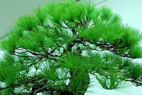 DSC_7212.jpg DSC_7212.jpg