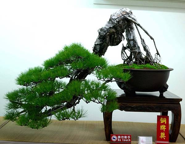 DSC_7214.jpg DSC_7214.jpg