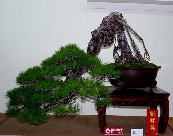 DSC_7215.jpg DSC_7215.jpg