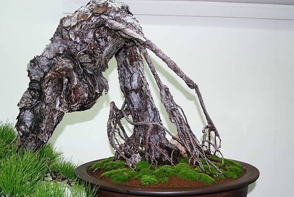 DSC_7216.jpg DSC_7216.jpg