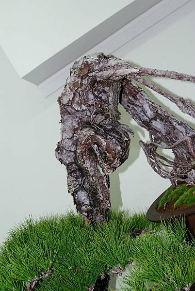 DSC_7217.jpg DSC_7217.jpg