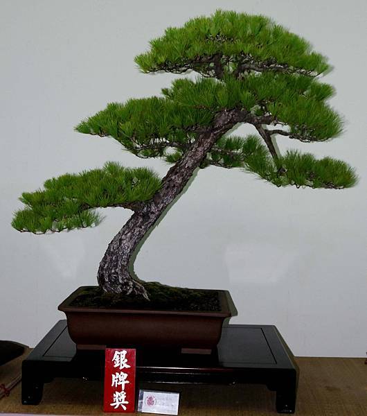 DSC_7220.jpg DSC_7220.jpg