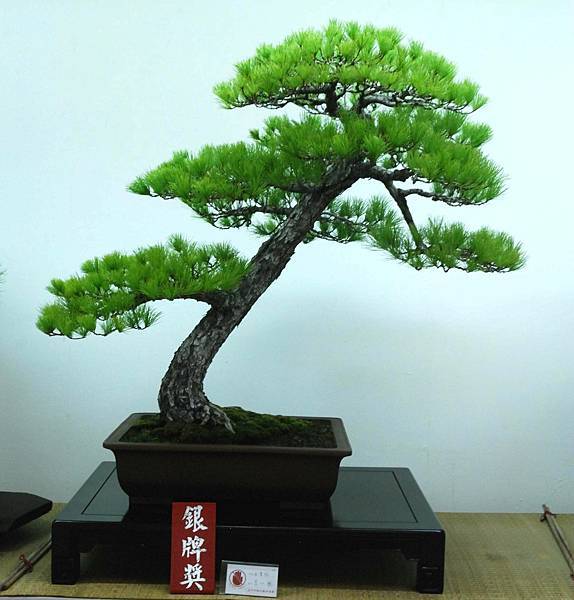 DSC_7221.jpg DSC_7221.jpg