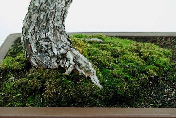 DSC_7222.jpg DSC_7222.jpg