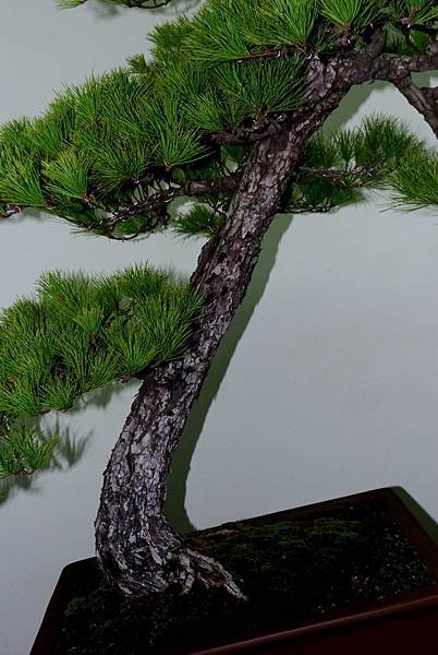 DSC_7224.jpg DSC_7224.jpg