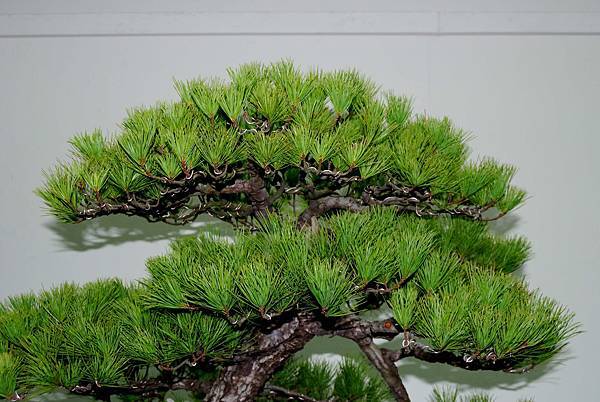 DSC_7225.jpg DSC_7225.jpg