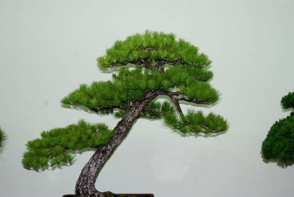 DSC_7226.jpg DSC_7226.jpg