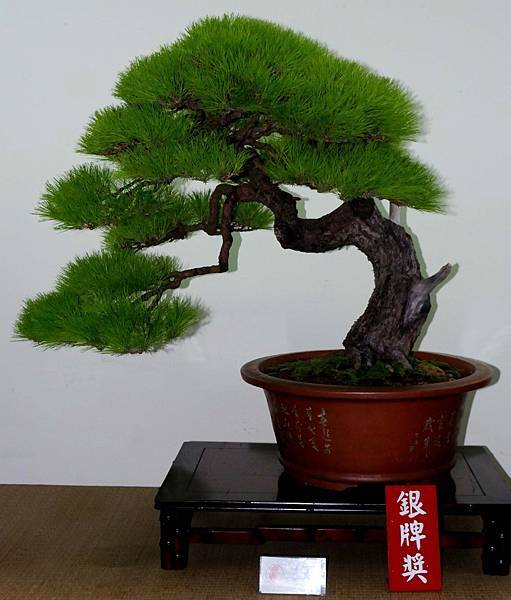 DSC_7227.jpg DSC_7227.jpg