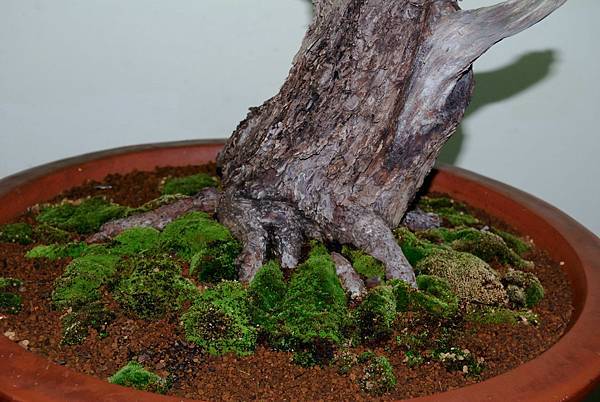 DSC_7228.jpg DSC_7228.jpg