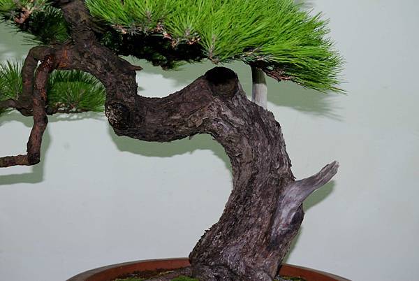 DSC_7229.jpg DSC_7229.jpg