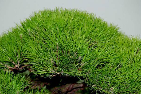 DSC_7230.jpg DSC_7230.jpg