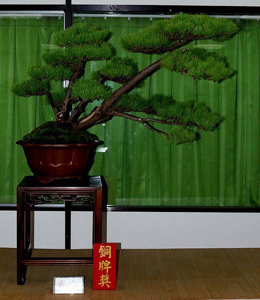 DSC_7232.jpg DSC_7232.jpg