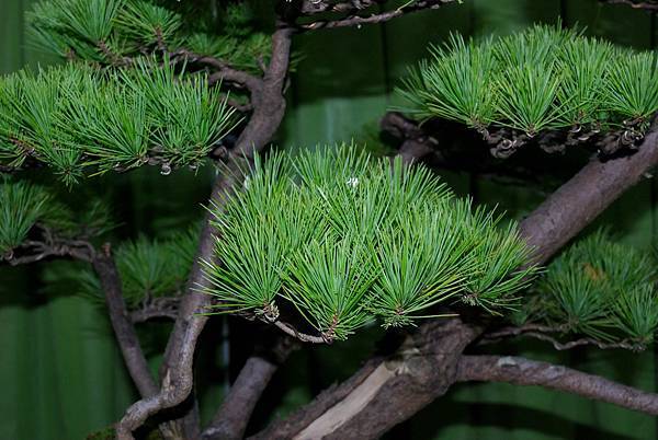 DSC_7235.jpg DSC_7235.jpg