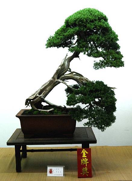 DSC_7237.jpg DSC_7237.jpg