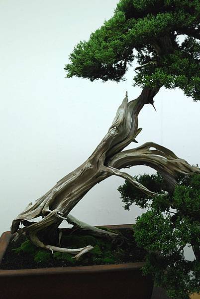 DSC_7238.jpg DSC_7238.jpg