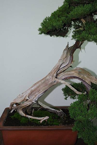 DSC_7239.jpg DSC_7239.jpg