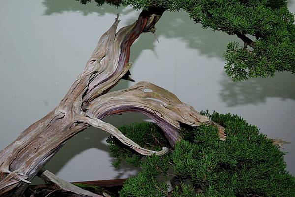 DSC_7240.jpg DSC_7240.jpg