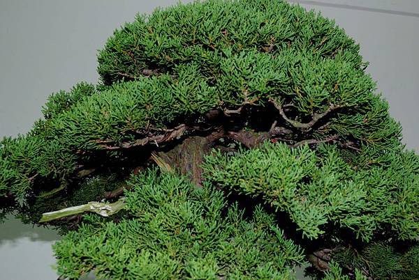 DSC_7241.jpg DSC_7241.jpg