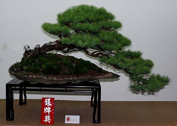 DSC_7244.jpg DSC_7244.jpg