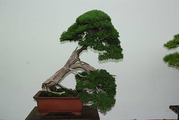 DSC_7243.jpg DSC_7243.jpg