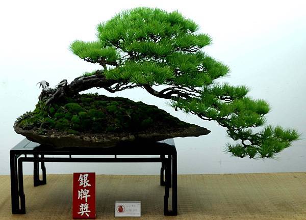 DSC_7245.jpg DSC_7245.jpg