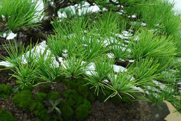 DSC_7251.jpg DSC_7251.jpg