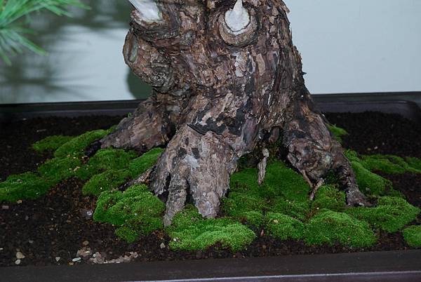 DSC_7254.jpg DSC_7254.jpg