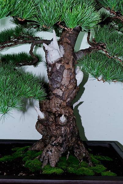 DSC_7255.jpg DSC_7255.jpg