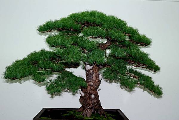 DSC_7256.jpg DSC_7256.jpg