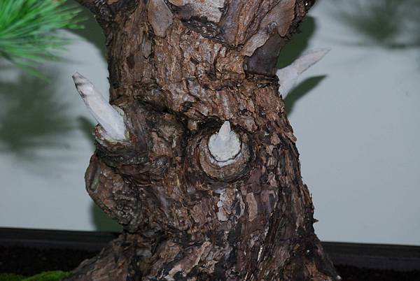 DSC_7257.jpg DSC_7257.jpg