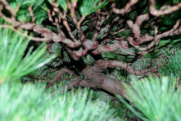 DSC_7259.jpg DSC_7259.jpg