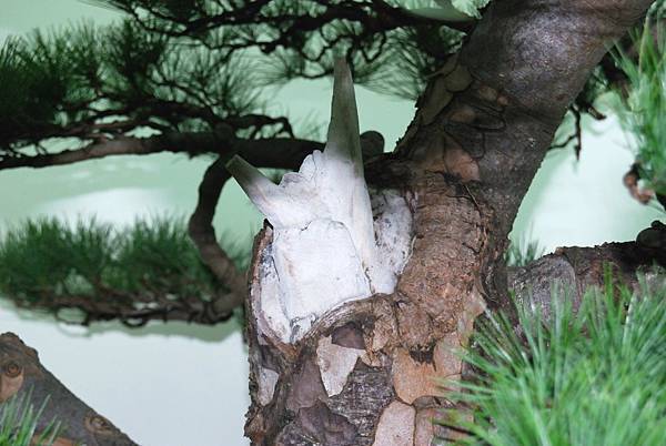 DSC_7258.jpg DSC_7258.jpg