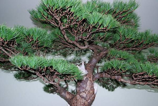 DSC_7260.jpg DSC_7260.jpg